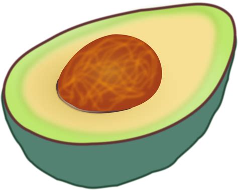 avocado clip art 1