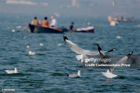 Sangam Photos and Premium High Res Pictures - Getty Images