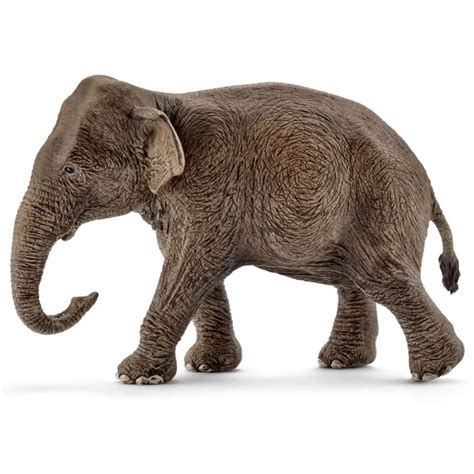 Elefante Asiático♈ Explore A Maior Goleada Da História Do Futebol