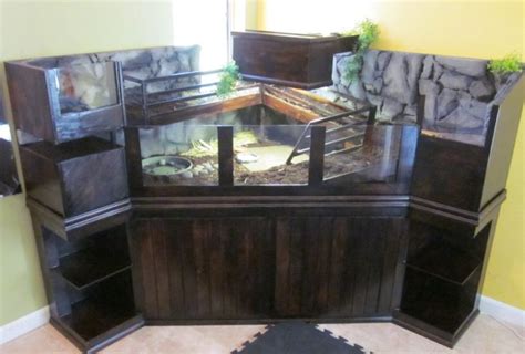 How to Build the Perfect Russian Tortoise Enclosure - Allan's Pet Center