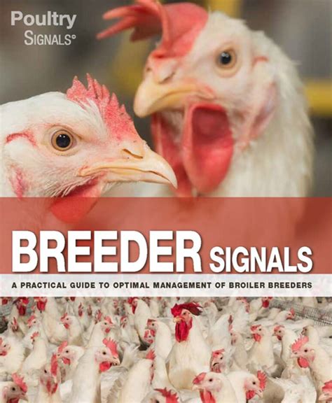 Poultry Farming Books Poultry Signals Vetworks