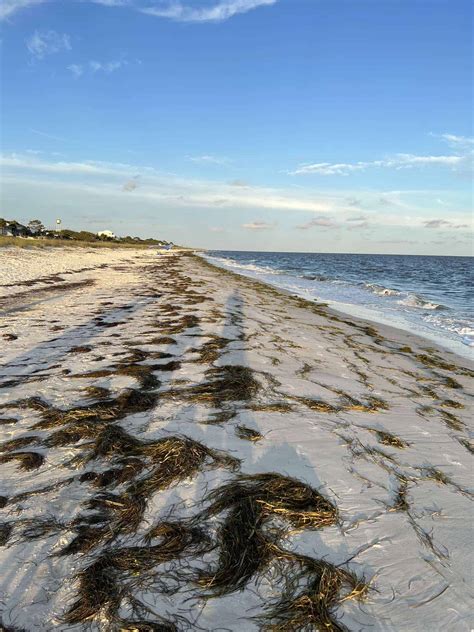 The Ultimate Guide To Florida SkipTheGames (And How To Avoid The Traps!) Image 13