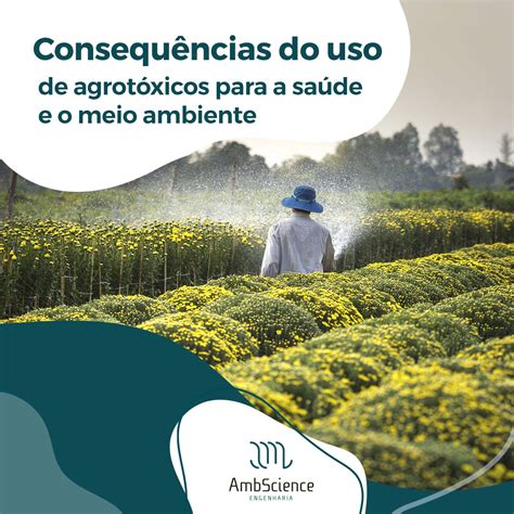 Consequencias Do Uso De Agrotoxicos Para O Meio Ambiente