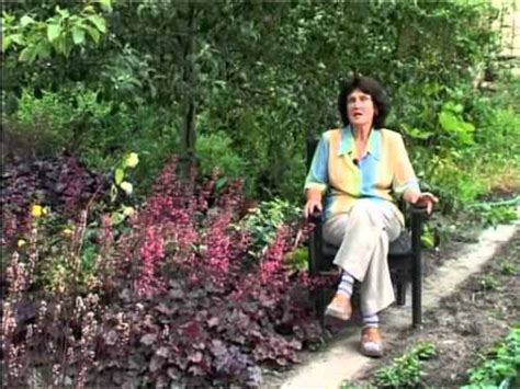 Гейхера (часть 2). Многолетние цветы. - YouTube