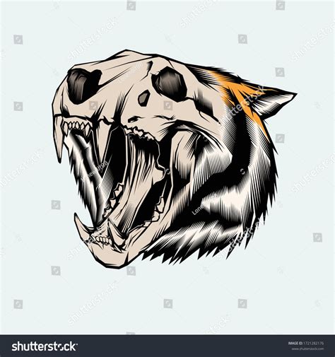 Tiger skull – Artofit