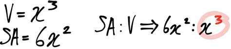 Bi·ol·o·gy Bīˈäləjē Surface Area To Volume Ratios