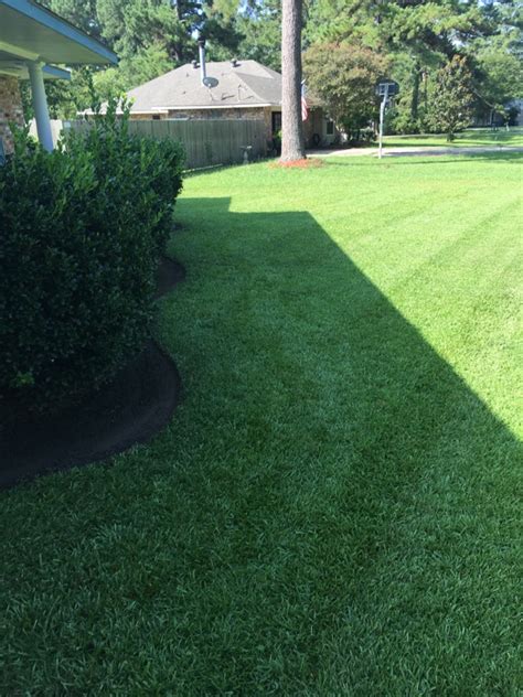 Personalized Lawn Lawn Care Services In Walker La