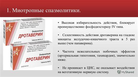 Дешевые аналоги Мебеверина: ТОП 6 заменителей препарата