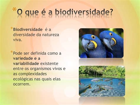Qual é A Importância De Identificar Regiões De Biodiversidade Ameaçada