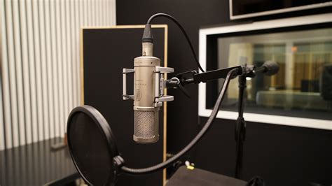 Voice Acting For Dummies 4