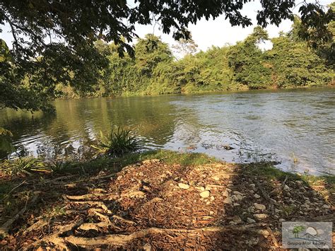 Large Belize River Lot Grupo Mar Realty Property On The Belize River