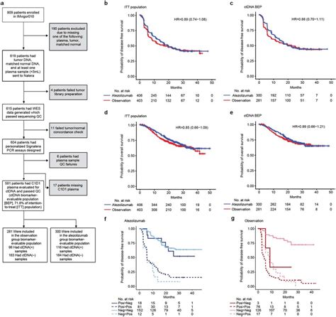 The Imvigor010 Ctdna Biomarker Evaluable Population Bep A Inclusion