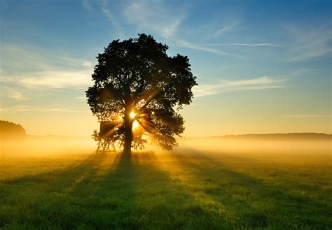 Costa Azzurra Parfum von Tom Ford ~ Reviews