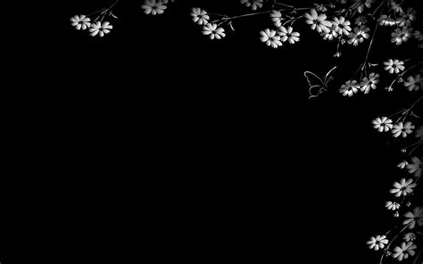 Black and white flowers wallpapers HD | PixelsTalk.Net
