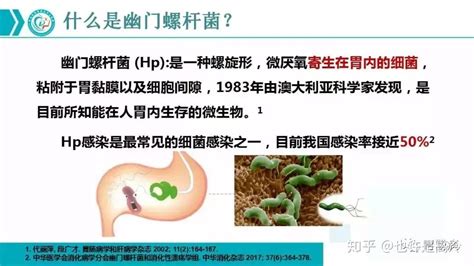 图说幽门螺杆菌（hp），这是一篇说得最彻底的科普！ 知乎