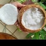 Jual Buah Kelapa Kopyor Genjah Asli Pati Fresh Segar Ukuran S Shopee