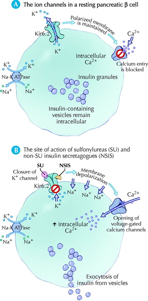 Oral Antihyperglycemic Therapy For Type 2 Diabetes Mellitus Cmaj