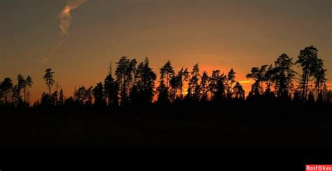 Я Знаю, Тьма Уйдёт с Рассветом (Алексей Кастомс) / Проза.ру