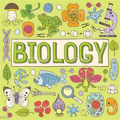 Information Biology – Art Sphere Inc. Update