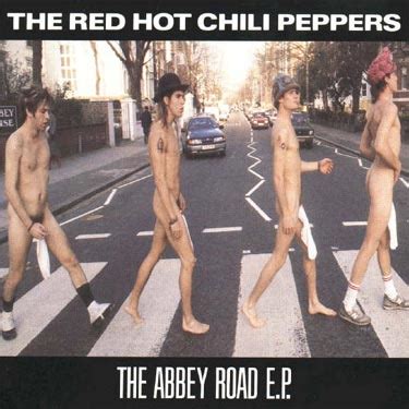 Naked Ambition Music Stars Who Have Gone Nude Gigwise