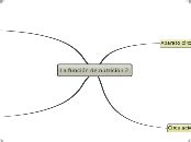 La Funci N De Nutrici N Mind Map