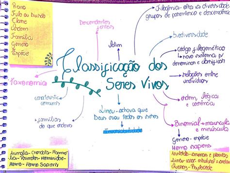 Pin De Clm Em Resumos E Mapas Mentais Mapa Mental Mapas Mentais Resumos