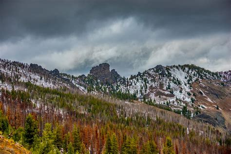 Malheur National Forest