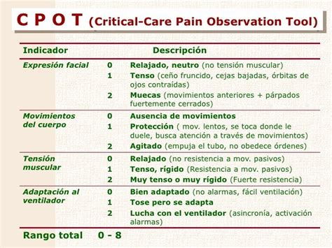 Valoración del dolor durante el cambio postural