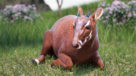 3D Saola Reclining - TurboSquid 2202829
