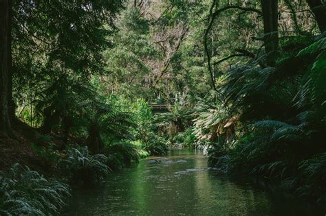 great otway national park australia jelly journeys