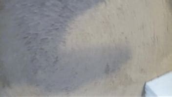 Mister Dick Shake Three XVIDEOS