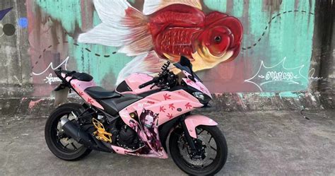 Pink Dreamscape Custom Yamaha R3 Fairing With 2d Anime Design Spiderfairings