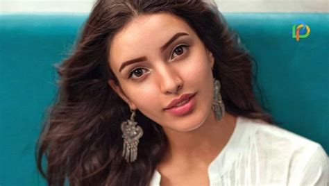 Tripti Dimri Figure Size Relationships Birthplace Before Surgery