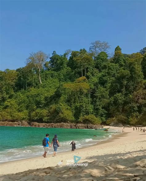 Pantai Teluk Hijau Wisata Alam Instagranable Rekomendasi Liburan Di