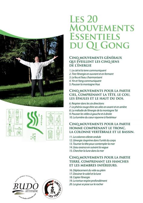 Qi Gong Les 8 Mouvements Contre La Douleur 11