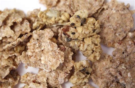 Review Bear Naked Sweet Honey Clusters Cereal