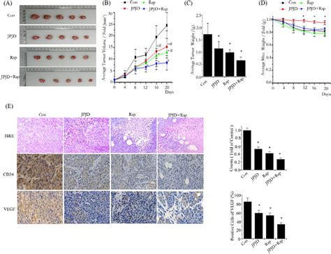 JPJD Inhibits Tumor Growth And Angiogenesis In A Nude Mouse HCT116