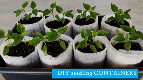 Fast Cheap Practical Two Of The BEST Seedling CONTAINERS YouTube