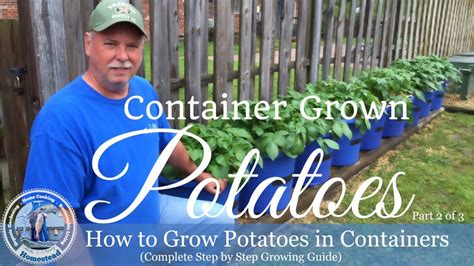 How To Grow Potatoes In Containers Complete Step By Step Growing Guide Part 2 Of 3 Youtube