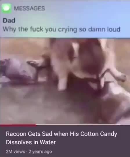 MESSAGES Dad Why The Fuck You Crying So Damn Loud Racoon Gets Sad When