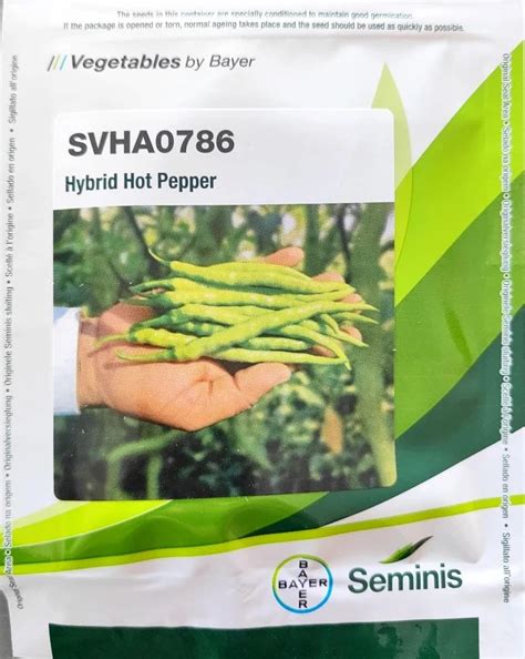 Seminis SVHA0786 Hybrid Hot Pepper Seeds At Best Price In Pune ID