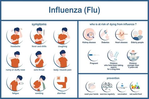 vector ilustración infografía de influenza sintomas riesgo factores y