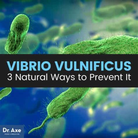 Vibrio Vulnificus Causes, Symptoms & Natural Protection - Dr. Axe