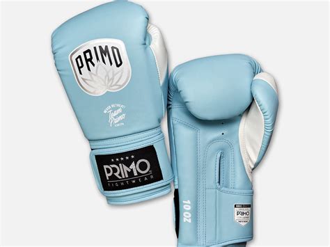 Primo Emblem 2.0 Semi Leather Boxing Gloves - Arctic Blue – Primo