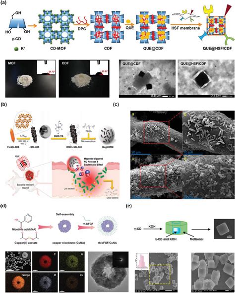 Mofs And Mofderived Composites Promote Wound Healing Through The