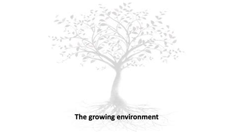 The Growing Environment Au