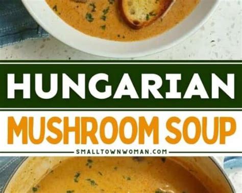 Hungarian Mushroom Soup - Small Town Woman
