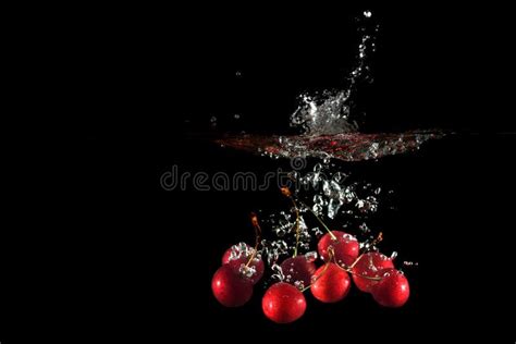 Cherries Falling Into Water With Splash Stock Photo Image Of Summer