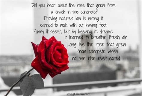 The Rose That Grew From Concrete Book Poems