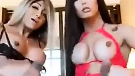 The Best Shemale Sex Xhamster